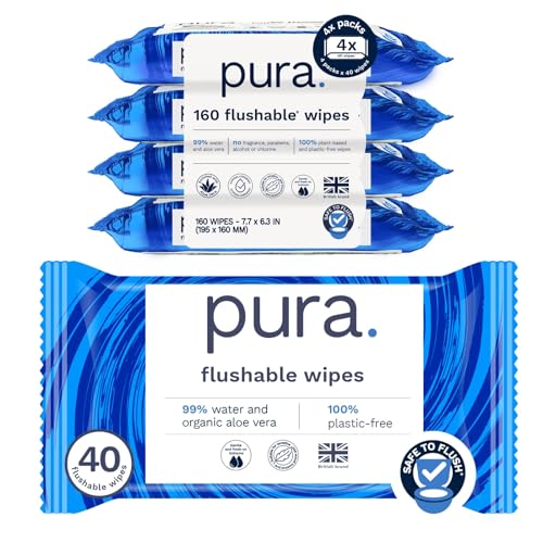 Flushable Adult Toilet Wipes
