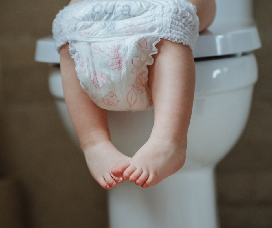 Potty Training