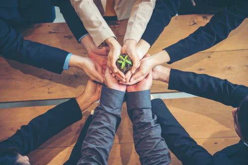 Business people with hands around a tiny plant signifying growth